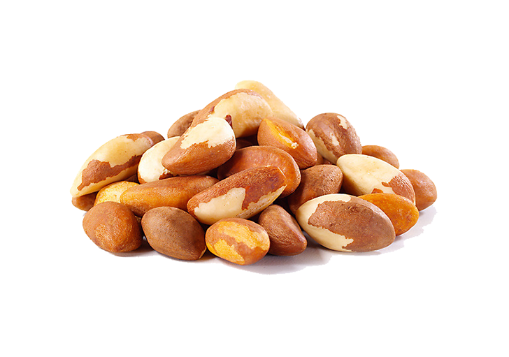 Ricas en proteínas